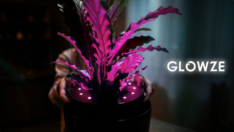 神奇的Glowze,让植物盆栽变身装饰照明
