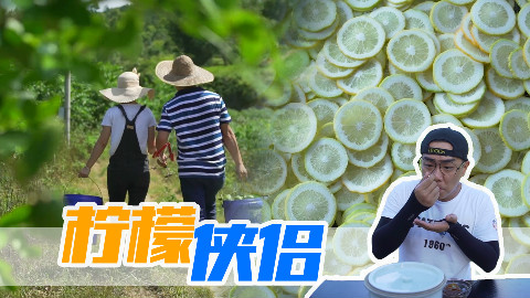 【品城记】恩平︱远近闻名的“柠檬侠侣”,给油腻大秋上了生动的一课!