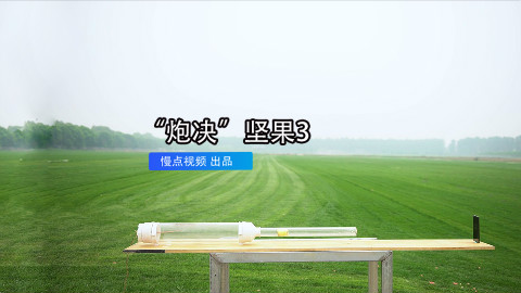 土豆炮打坚果 3