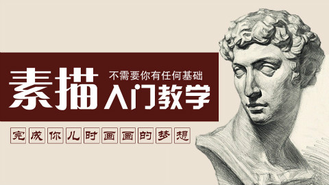 【史上最强画画教学】素描篇第13集 (蔡海晨素描绘画手绘画画工作室出品)