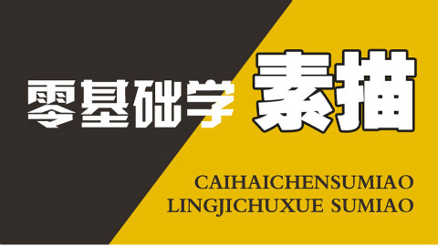 【史上最强画画教学】素描篇第19集 (蔡海晨素描绘画手绘画画工作室出品)