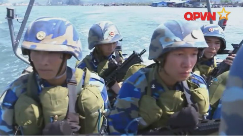 越南武装部队军事力量