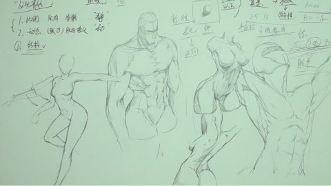 基础线条的运用以及人体讲解