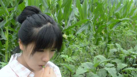 农村最常见的野菜,经过姑娘的烹饪,堪比山珍海味好吃停不下来