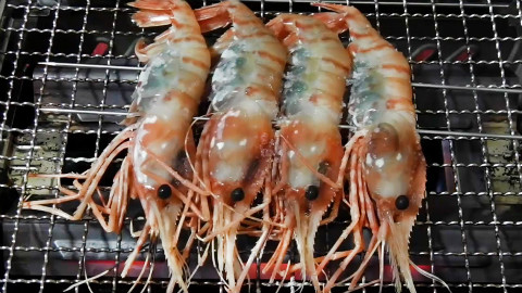 【垂涎零点档】第10弹 盐泽烤虾