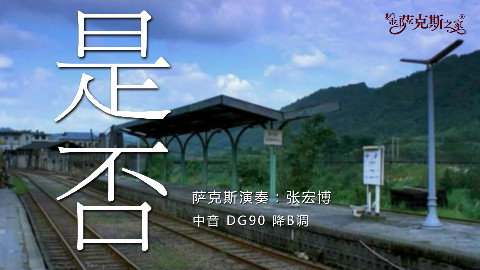 萨克斯《是否》罗大佑经典歌曲 旋律优美动听
