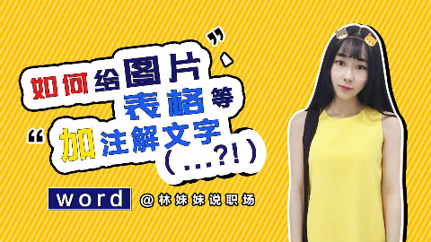 《林妹妹说》word 第25课 如何给图片、表格等加注解文字
