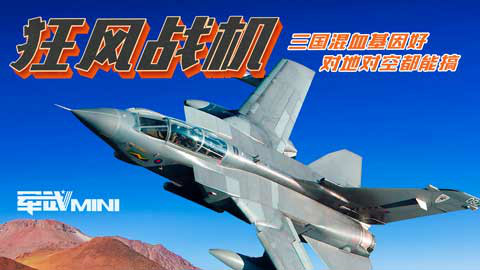 【军武MINI】狂风战机