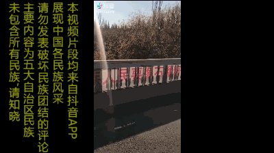 【抖音】中国各个民族小姐姐大合集