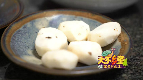 这是蔬菜还是水果?深埋在地下,农村爸爸带孩子一起挖