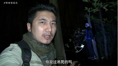 雷探长午夜进入日本自杀圣地,听到哭声,自杀者挂在树上!