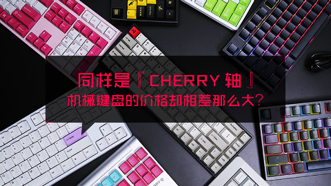 同样是 Cherry 轴,机械键盘的价格怎么相差那么大?