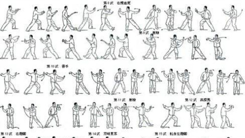 二十四式太极拳3-4