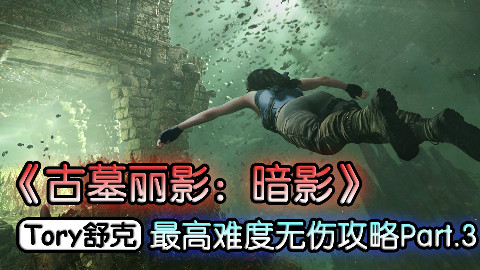 舒克《古墓丽影:暗影》最高难度无伤攻略Part3