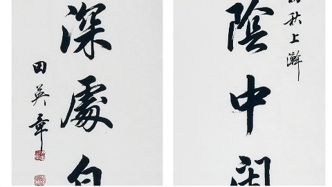 田蕴章每日一题每日一字016为 楷行草之间的联系