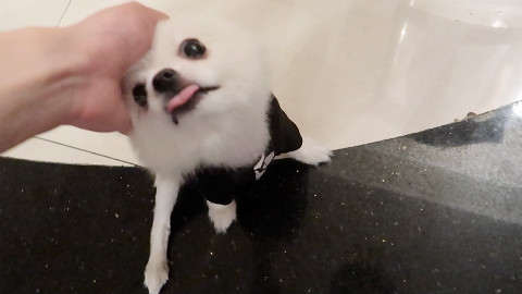 是个说再见的中秋节