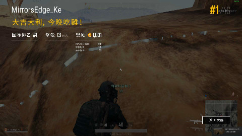 13杀吃鸡咯