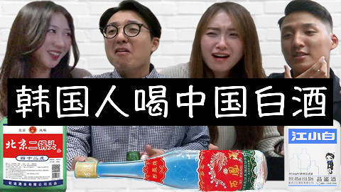 韩国人喝3种中国白酒反应,他们爱上了什么酒?