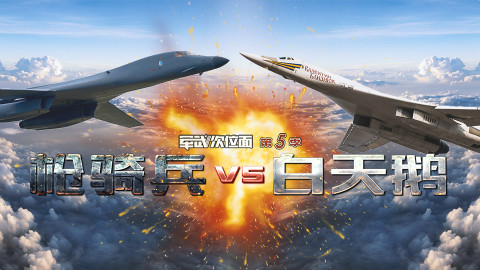 【军武次位面】炸B时代 枪骑兵VS白天鹅