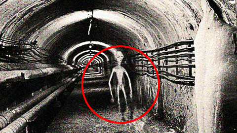 美国偷偷建立实验基地,研究外星人?探秘道西基地事件真相!