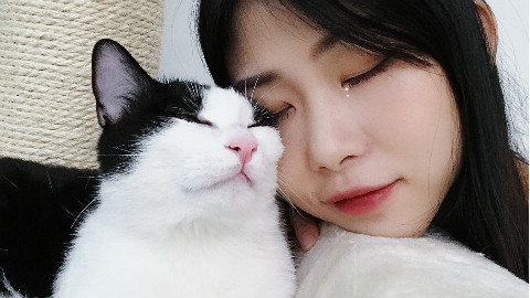 铲屎官出差回家,开门的瞬间人和猫都哭了,场面非常感人!