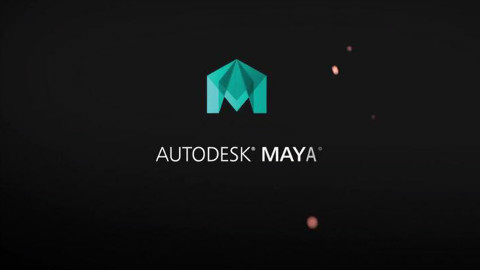 Maya零基础到入门软件介绍之网格工具,网格显示