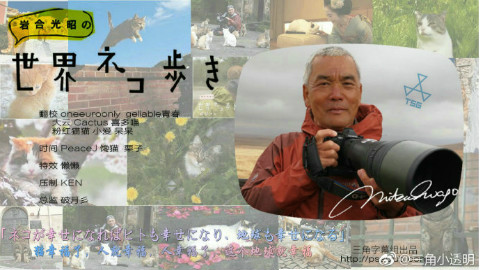【纪录片/720P】岩合光昭的猫步走世界~爱尔兰篇~【三角字幕组】