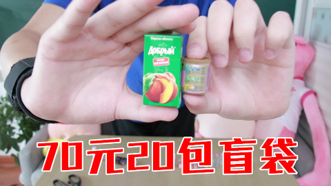 70块钱的盲袋就开出一些迷你物品 血亏??