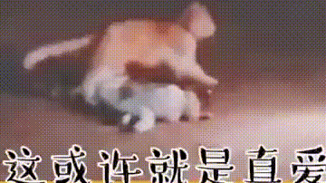 自己明明很害怕,却义无反顾…