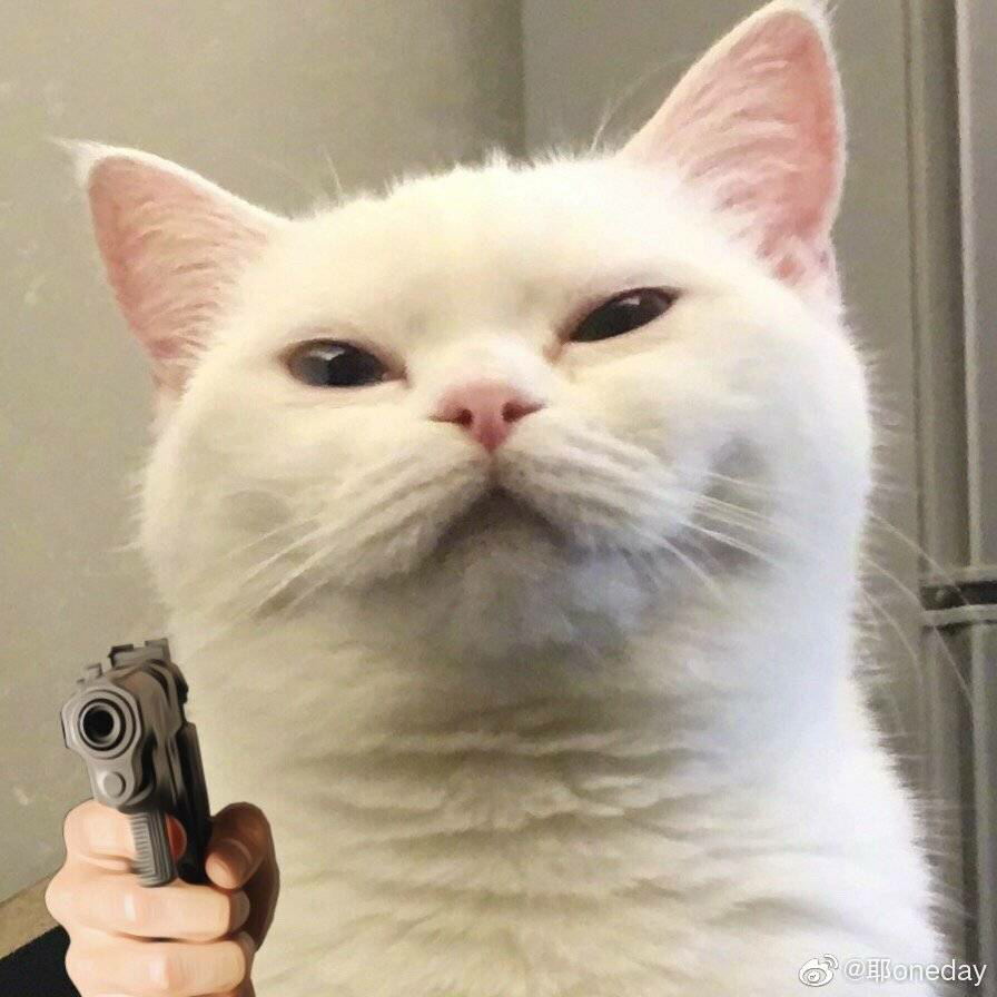 【拳头说书】48分钟看完《权力的游戏》前传《游侠王