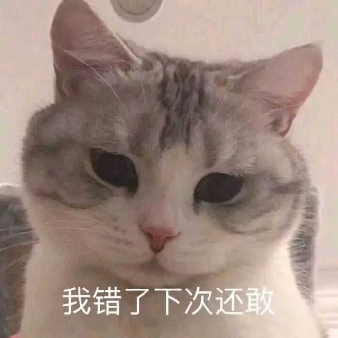 不要音乐深圳大学刘晶晶翻唱庄心妍《我以为》
