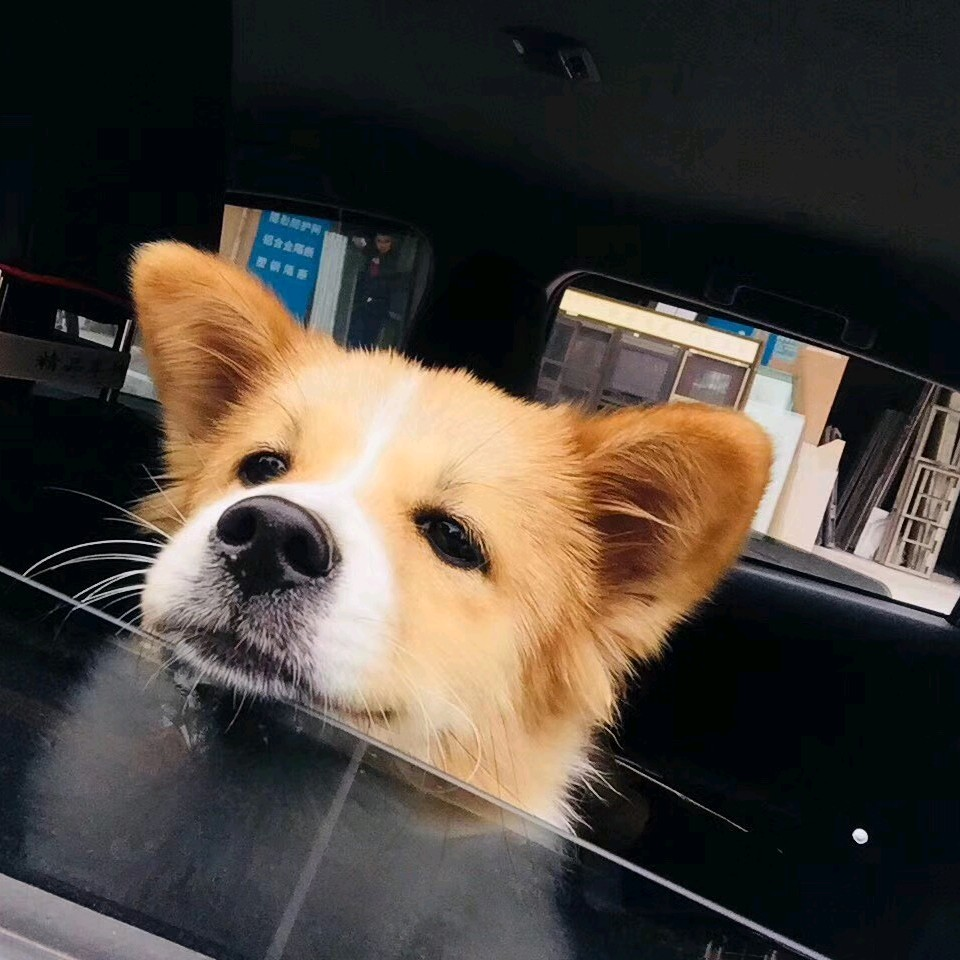 头像