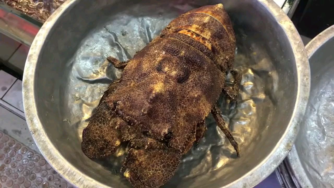 台湾路边小吃-新鲜琵琶虾 龙虾刺身 看的我好饿!街头美食