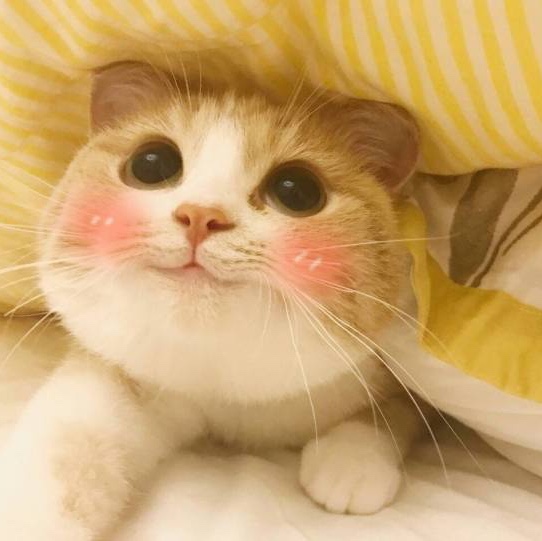 火影忍者第二次中忍考试二八门遁甲对七天呼法