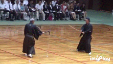 有没有武林高手把日本的什么二刀神影锁绳术给破了