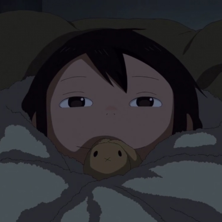 女主播王菠萝自曝留学经历回击传言!