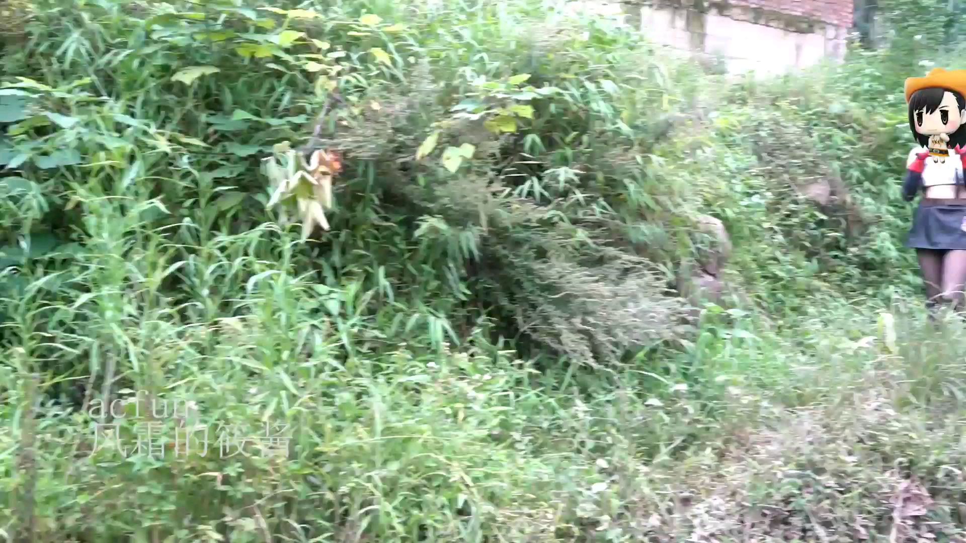 蒂法!