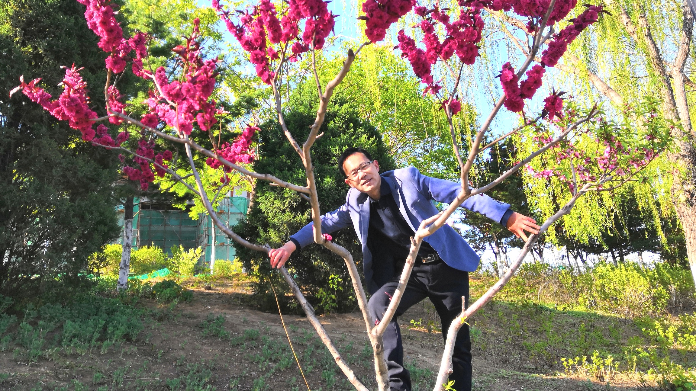 《和峰戏语:喋血新房》