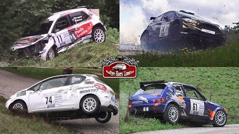 【拉力赛】Rallye des Bauges 2020