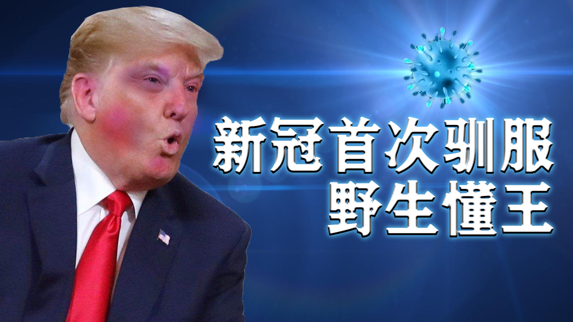 没人比我更懂新冠!