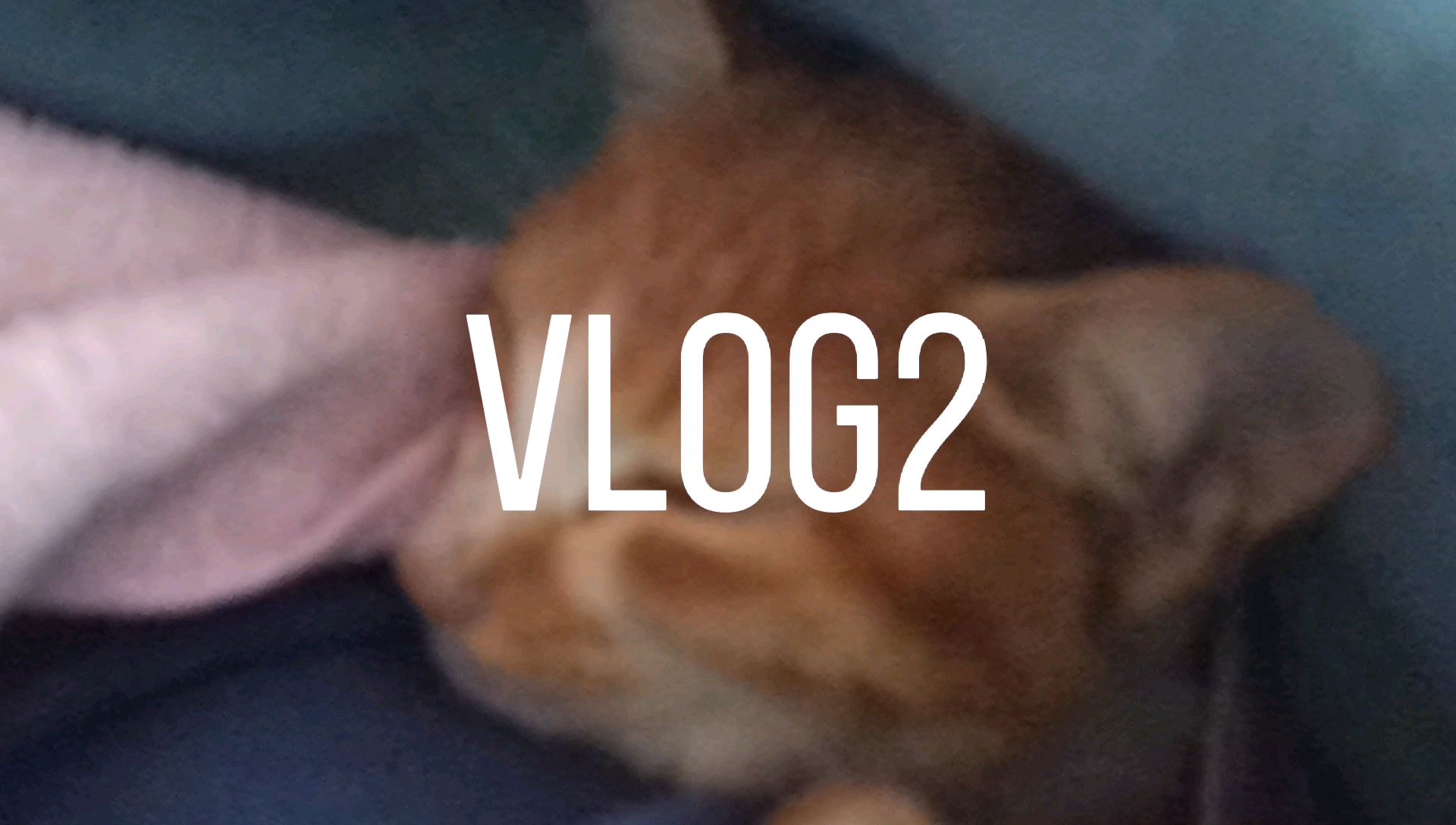 星游记克拉冷血战争狂克拉感受一下反派的魅力吧