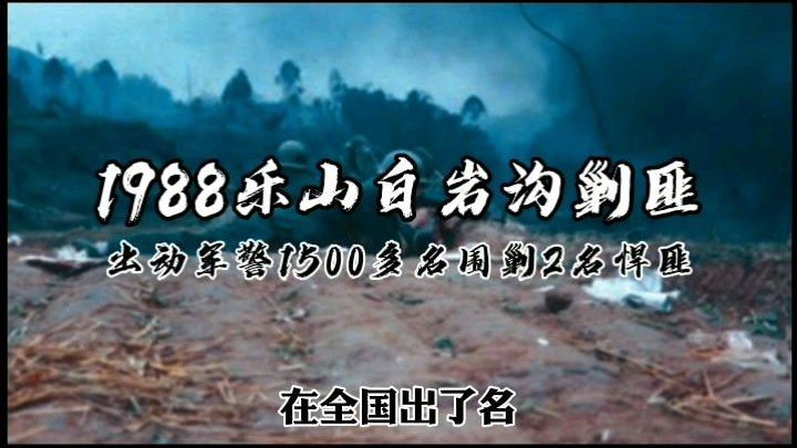 【林隐说大案】80年代刑侦大案纪实丨1988四川乐山白岩沟剿匪:牺牲8人,出动1500多名军警的战斗