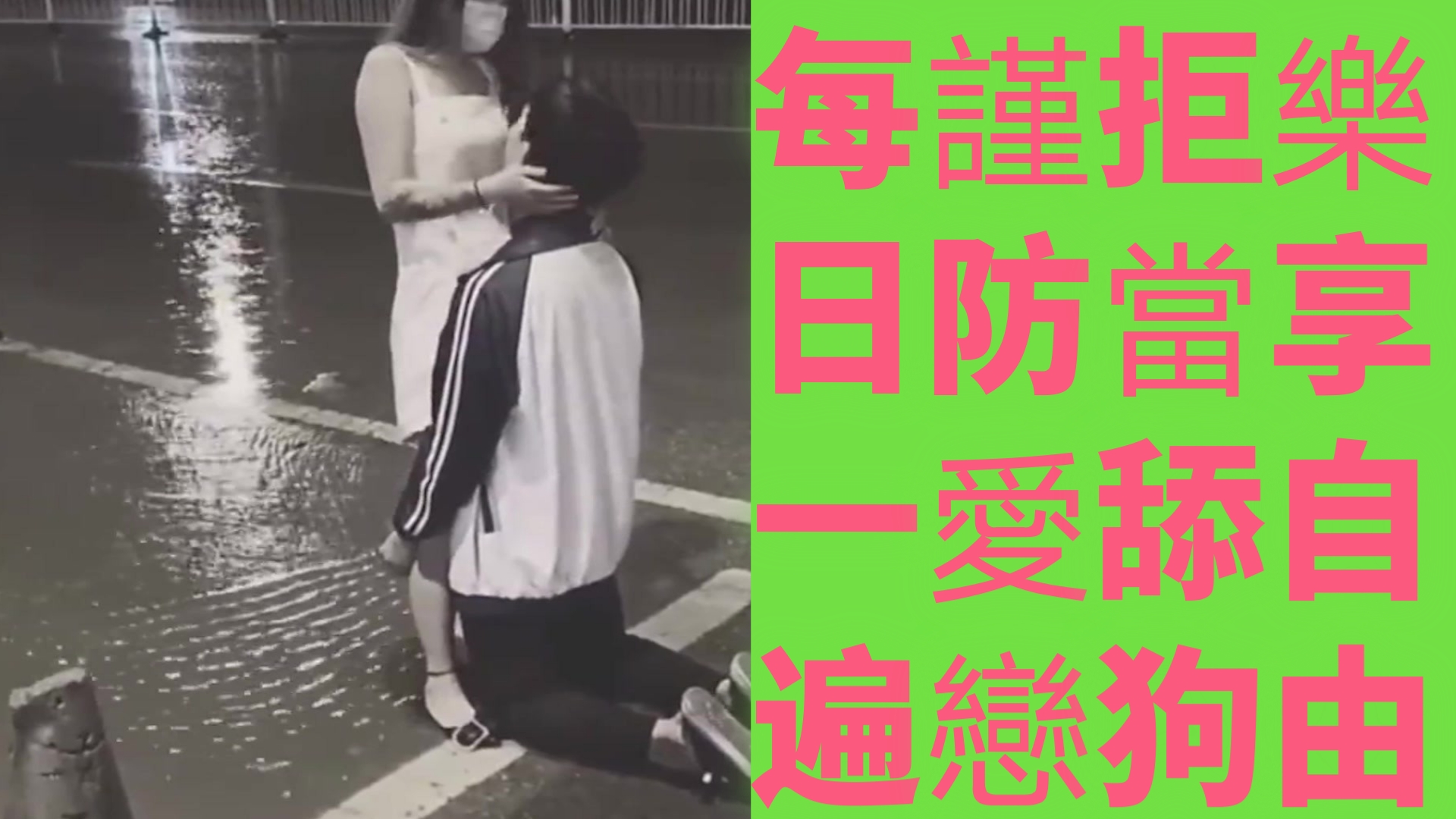 答应我!!不要做舔狗好不好?