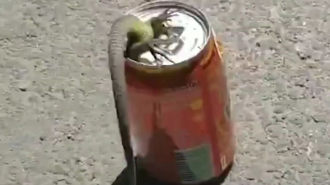 一个小善举