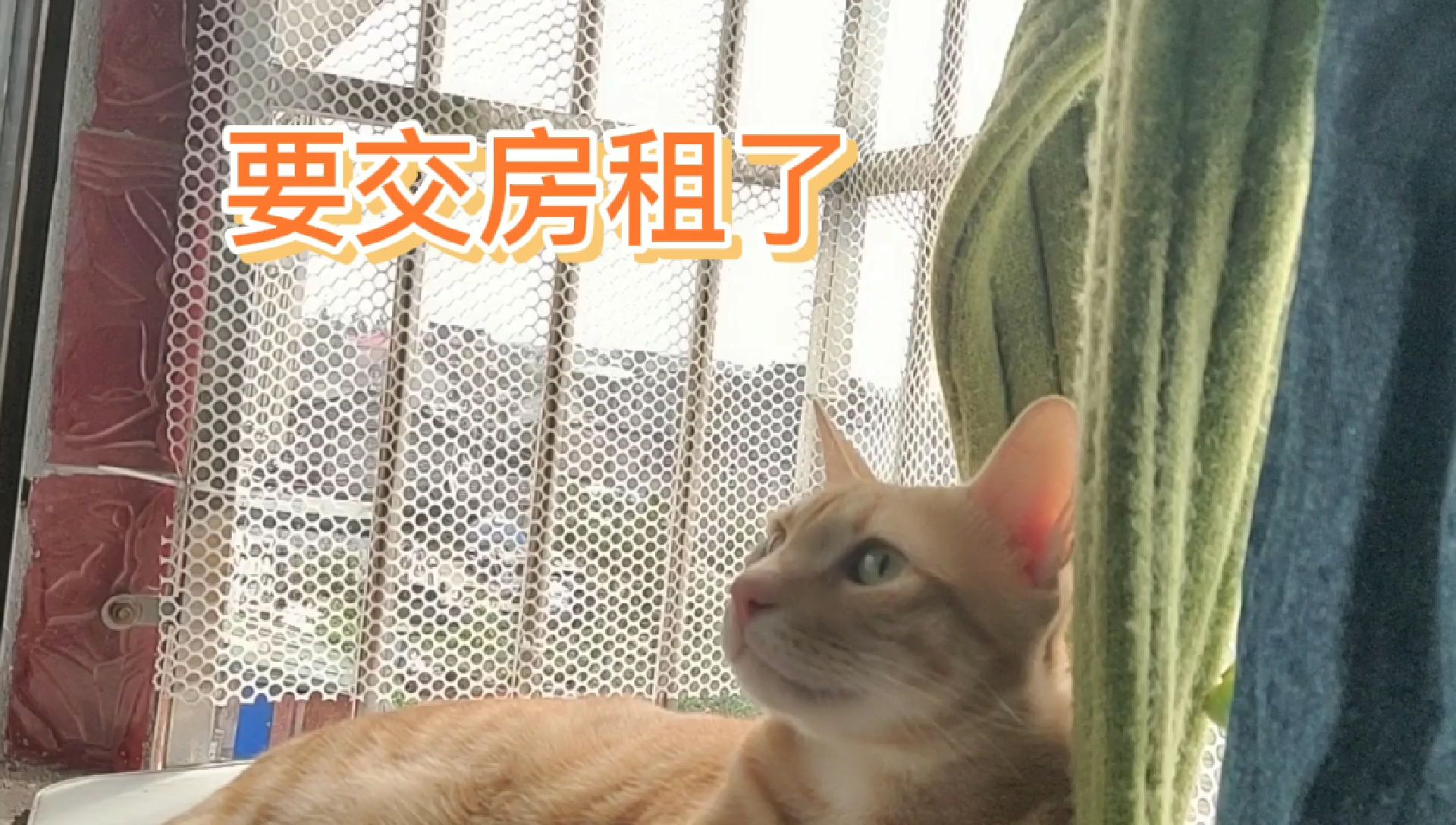 11月7号,打工人,醒醒,该交房租了,你钱钱准备好了吗