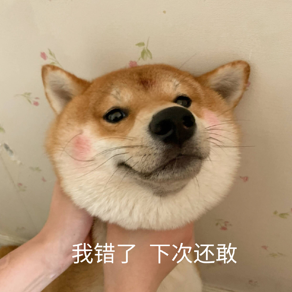 金光御九界之战血天道