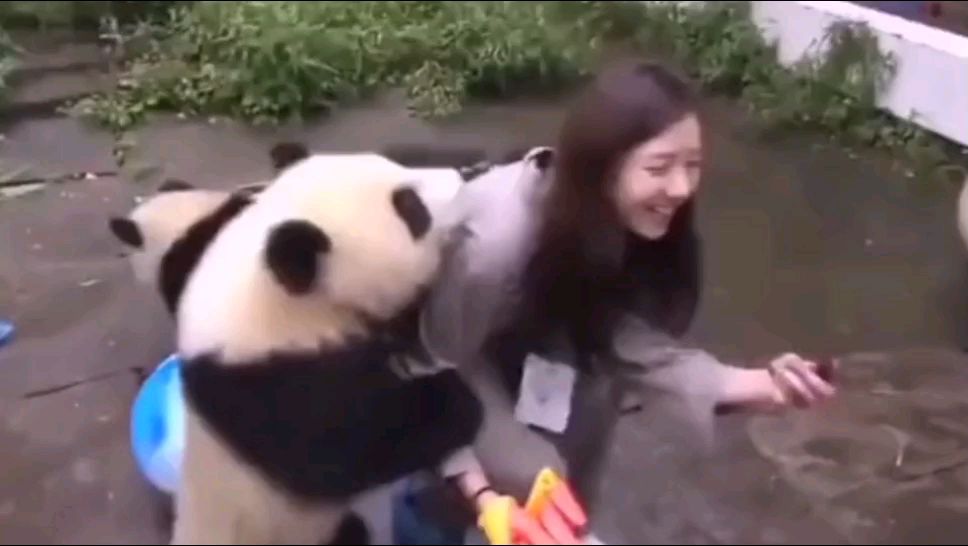 这玩意也耍流氓??