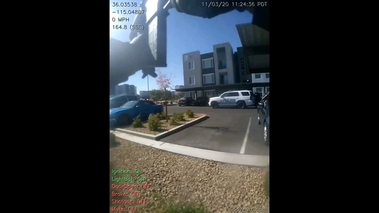 【执法记录】杀人绑架哥布林被警察射爆