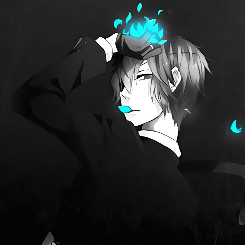 乌撒之猫,克苏鲁神话的群猫吃人事件【克苏鲁神话二季 第一期 】