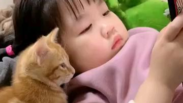 猫:先别划走,让我康康…